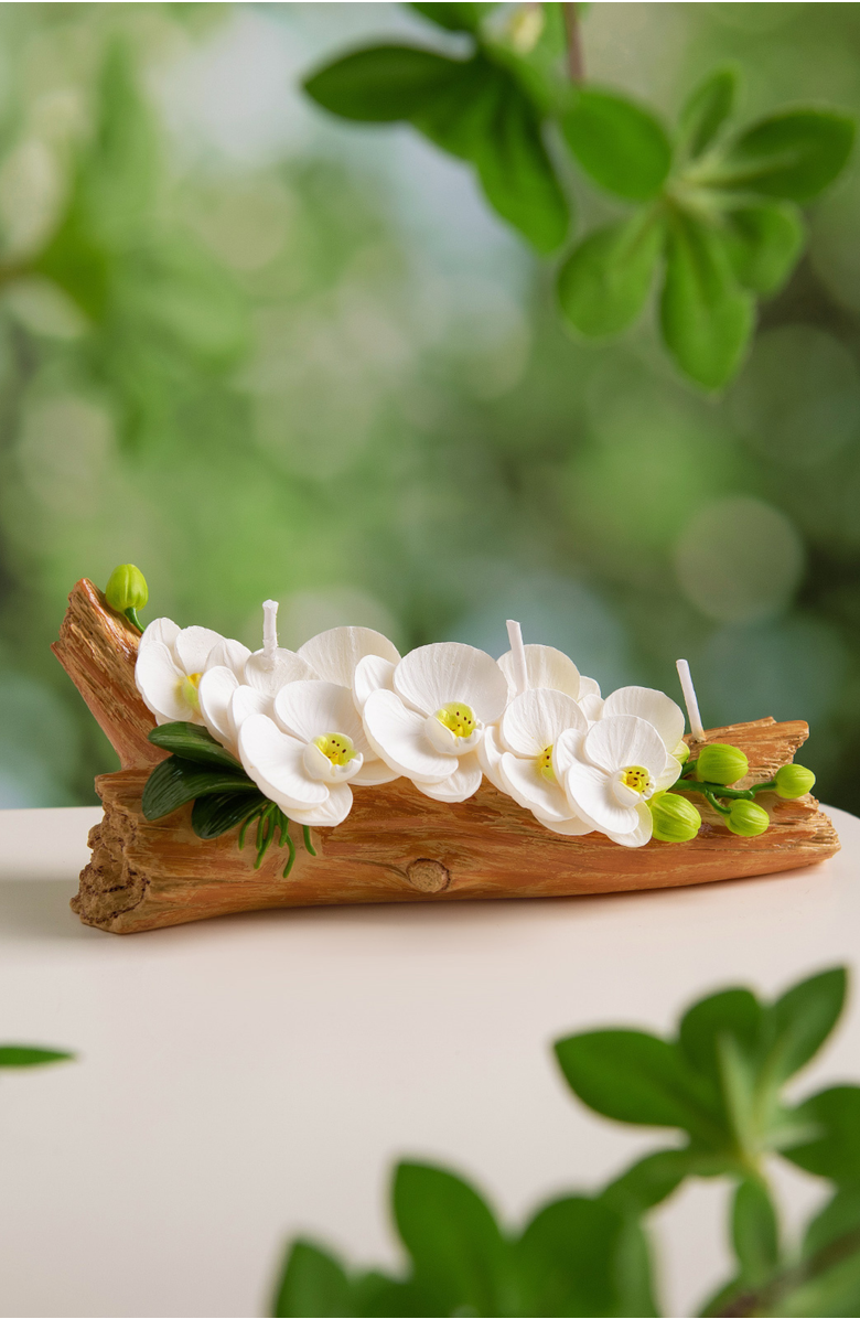 Southlake gifts Orchid Arrangement Candle, Alternate, color, White