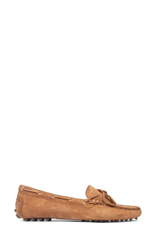 Patricia Green Henley Boat Shoe In Brown