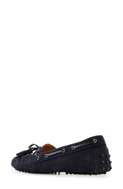 National Comfort Shyanne Suede Loafer In Navy Suede