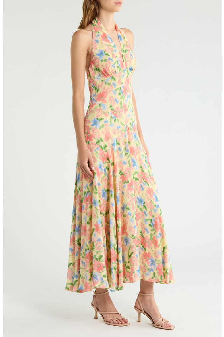 Briony Floral Halter Neck Maxi Dress, Alternate, color, SPRING FLING