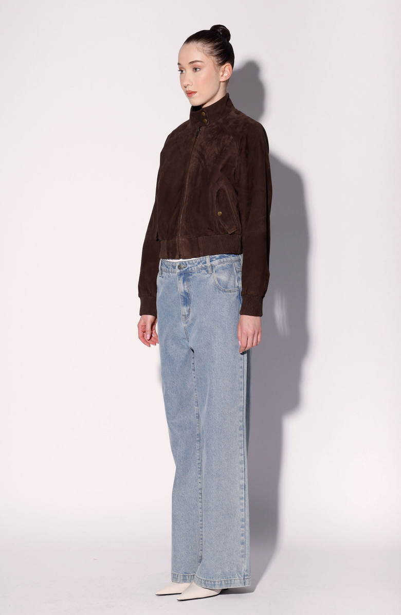Walter Baker Bowie Suede Bomber Jacket, Alternate, color, Mocha Suede