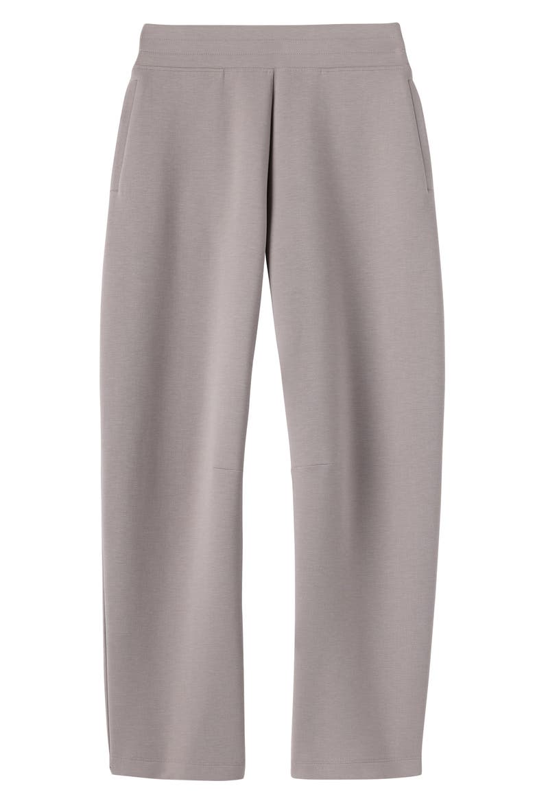 Dreamglow Barrel Leg Pants, Alternate, color, TAUPE MIST