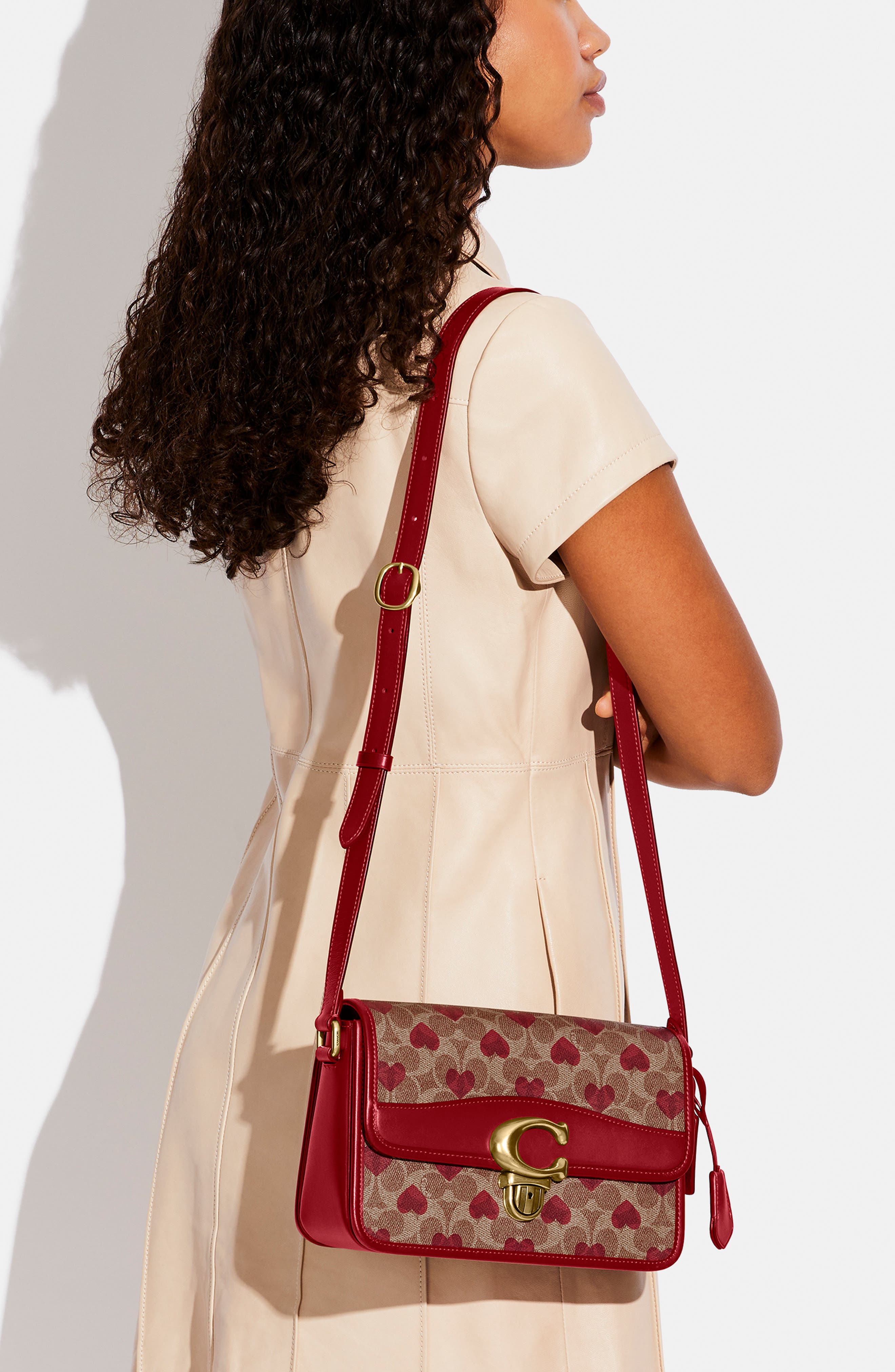 Coated Canvas Signature Crossbody Bag, Alternate, color, B4/ TAN RED APPLE