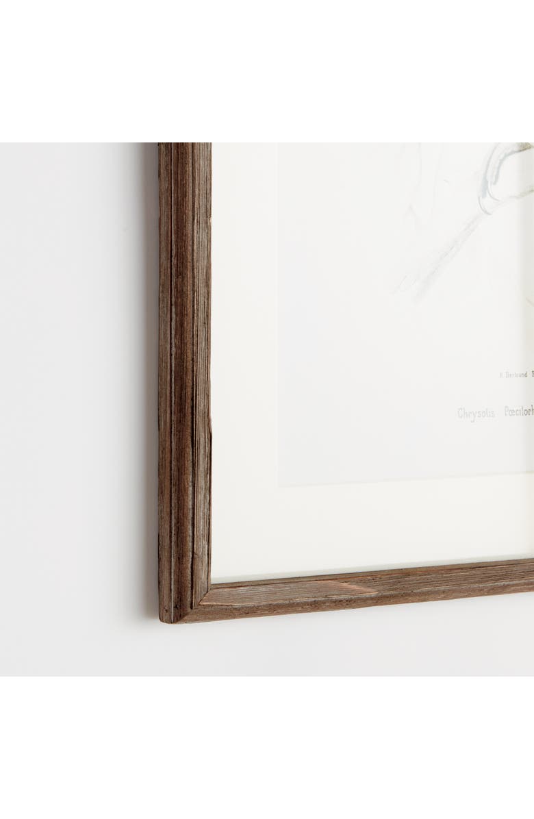 Napa Home & Garden 17.75"W x 1"D x 23.5"H Parrot Illustrations In Green Framed Wall Art Set of 4, Alternate, color, Green