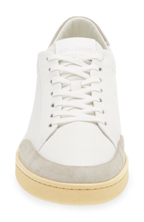 Collegium Pillar Court Sneaker In White