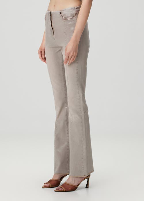 Pcfg Cotton Coated Flare Pant In Sand