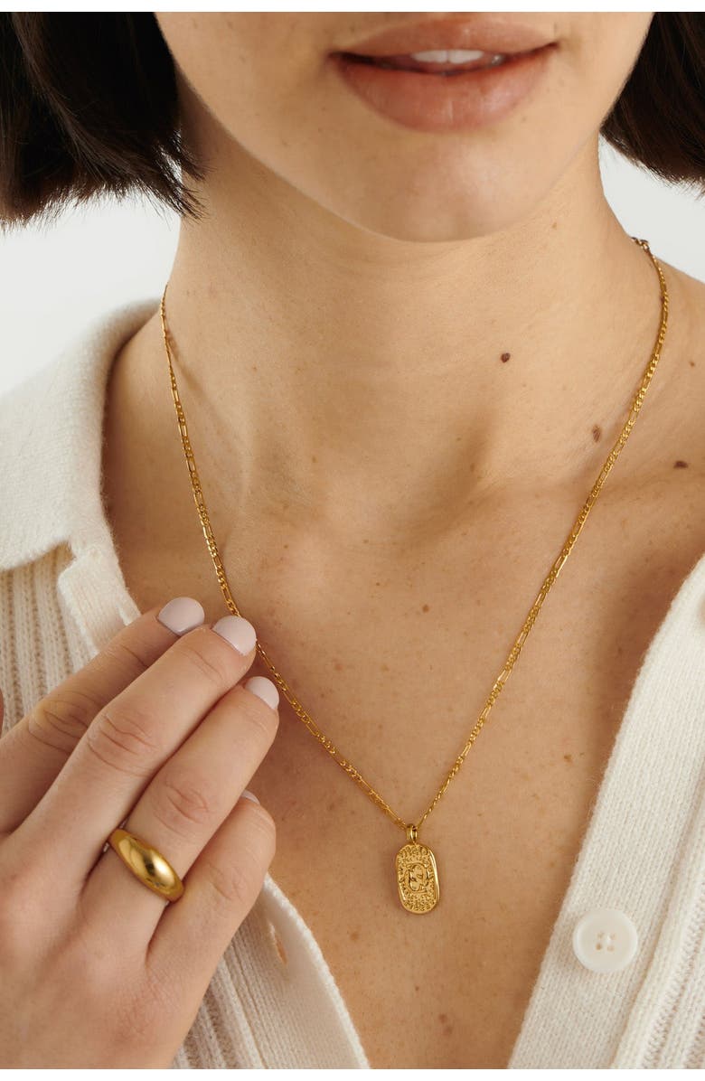 Katie Loxton 'Pisces' Waterproof Gold Zodiac Necklace, Alternate, color, Gold