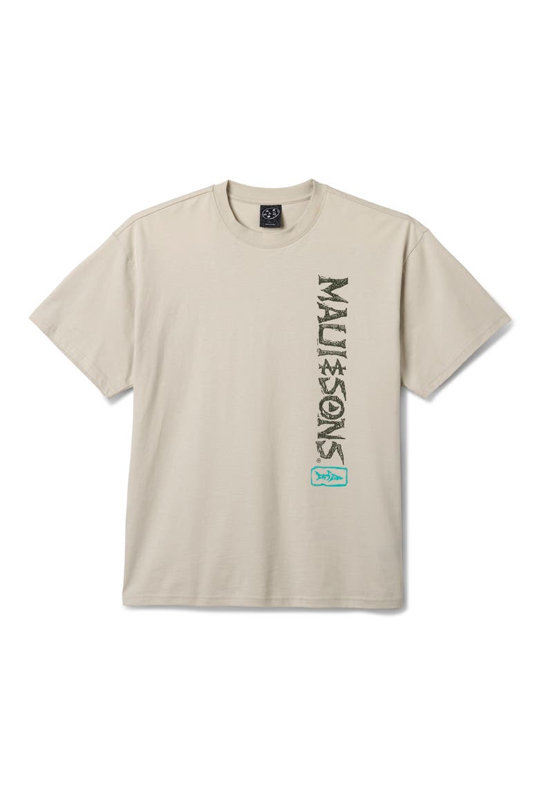 Fossil Boxy Fit Cotton Graphic T-Shirt, Alternate, color, CEMENT