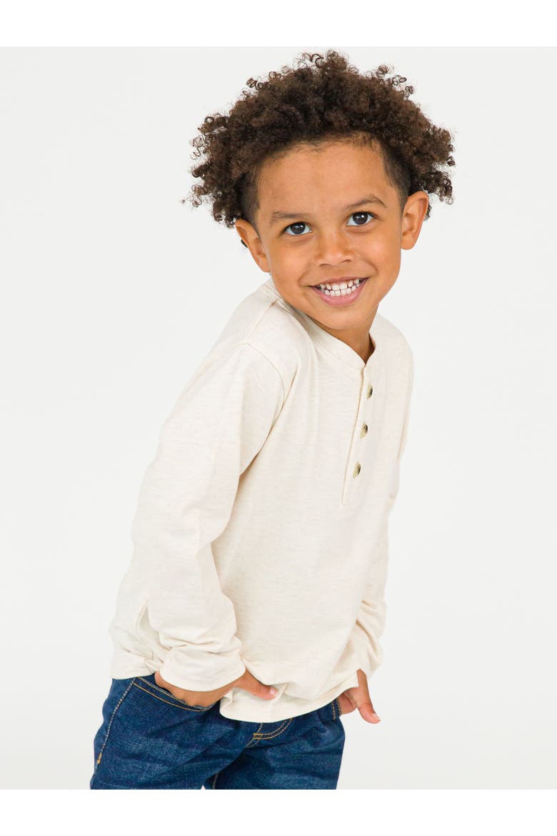 Knit Long Sleeve Henley Tee, Alternate, color, Heathered Oatmeal