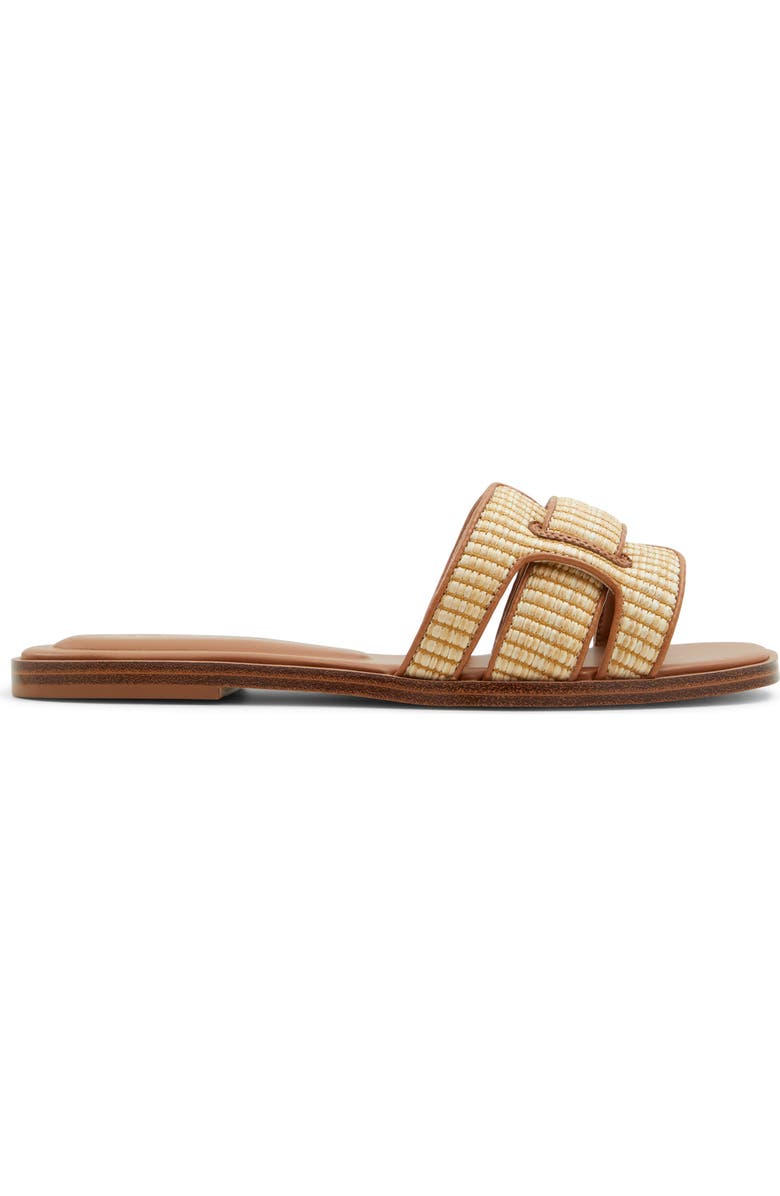 ALDO Elenaa Slide Sandal, Alternate, color,