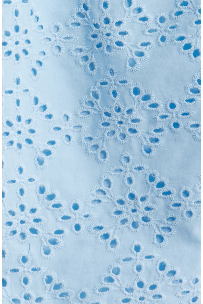 Embroidered Cotton Eyelet Top, Alternate, color, LAKESHORE