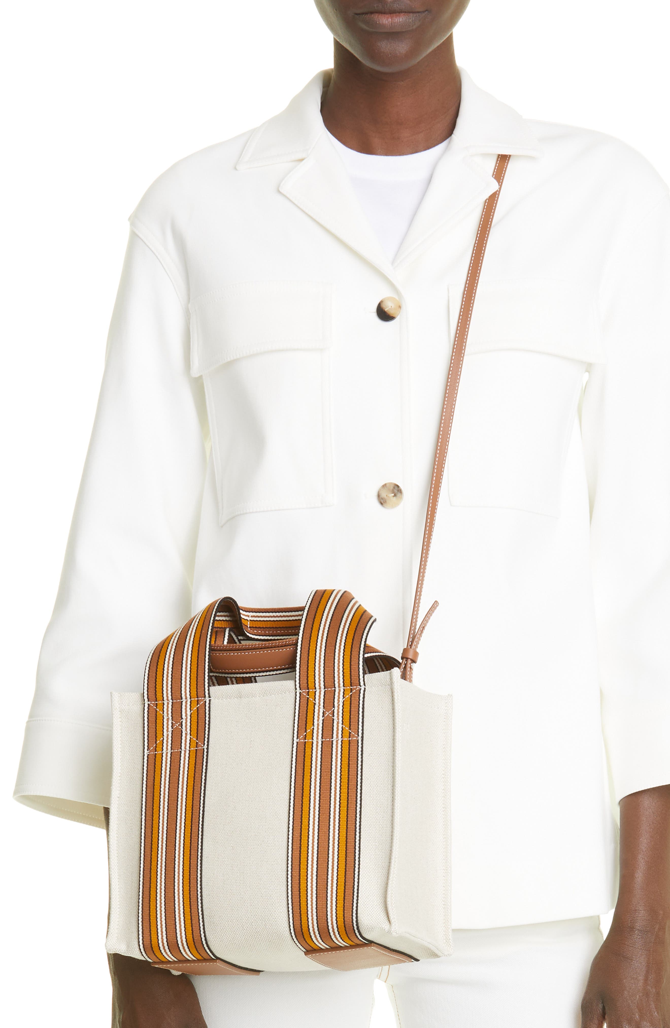 Loro Piana The Suitcase Mini Stripe Linen & Cotton Tote, Alternate, color, 