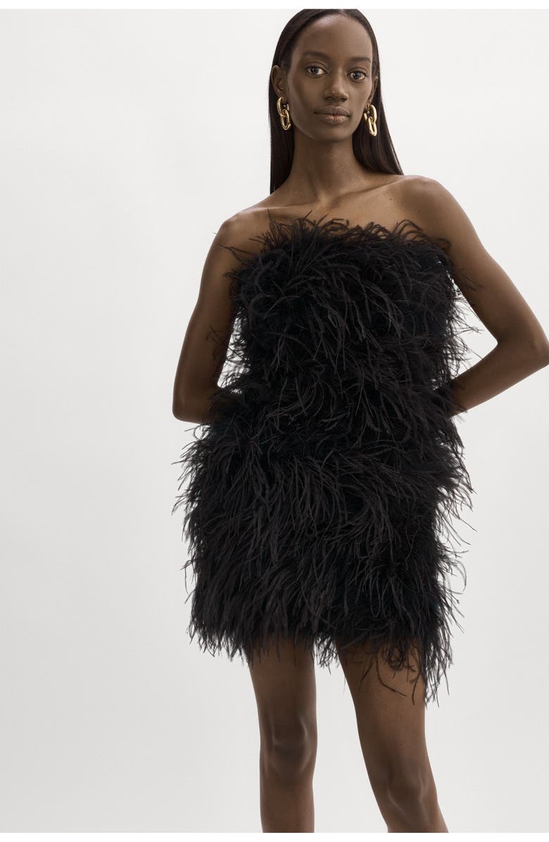 LAMARQUE Triana | Feather Dress, Main, color, Black