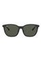  Black / Dark Green