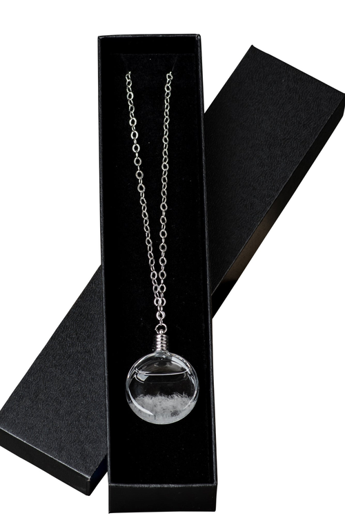 Heebie Jeebies Storm Glass Necklace in Clear  product