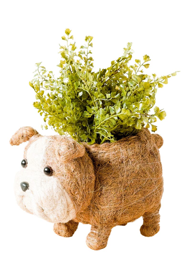 English Bulldog Handwoven Planter, Main, color, BROWN / WHITE