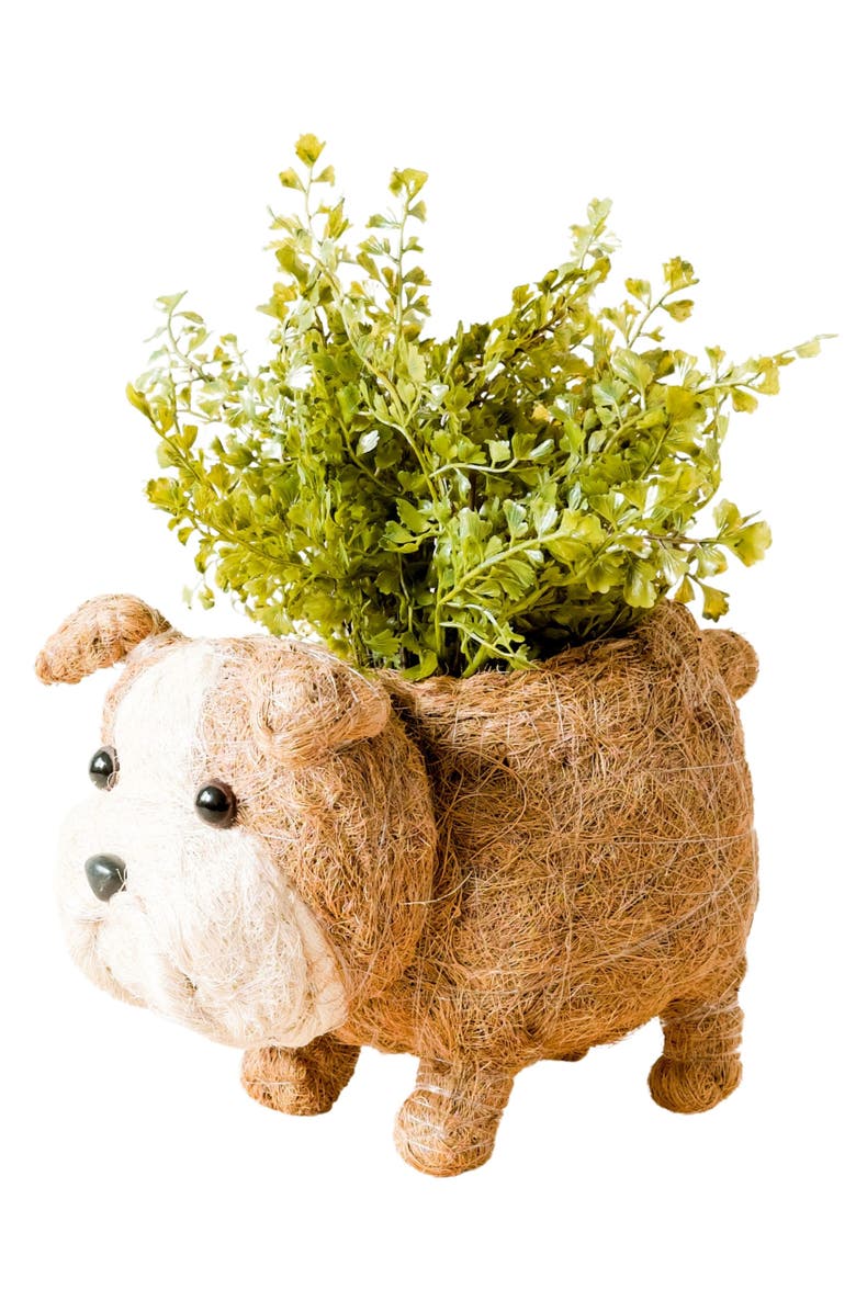 LIKHA English Bulldog Handwoven Planter, Main, color, Brown / White