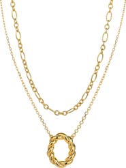 Bearfruit Jewelry 18K Gold Plated Sterling Silver Luxe Necklace Layers Set Gift Idea