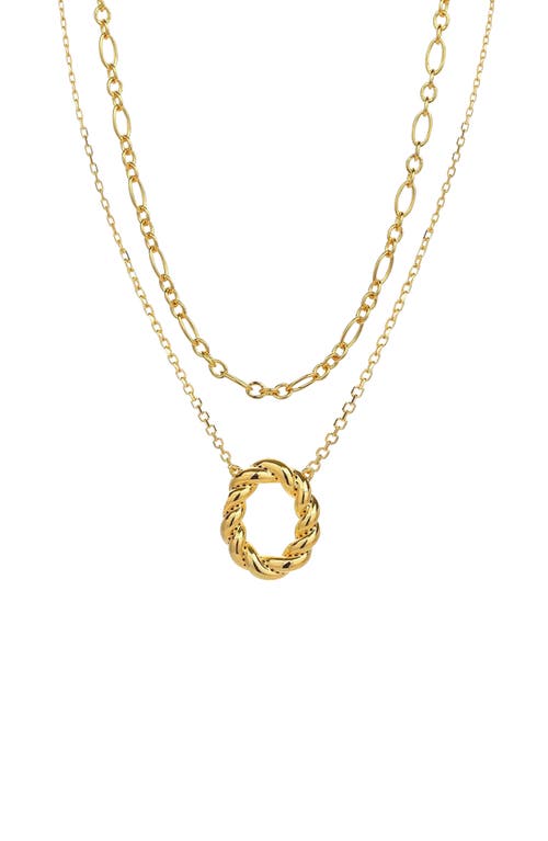 Bearfruit Jewelry 18k Gold Plated Sterling Silver Luxe Necklace Layers Set Holiday Gift Idea