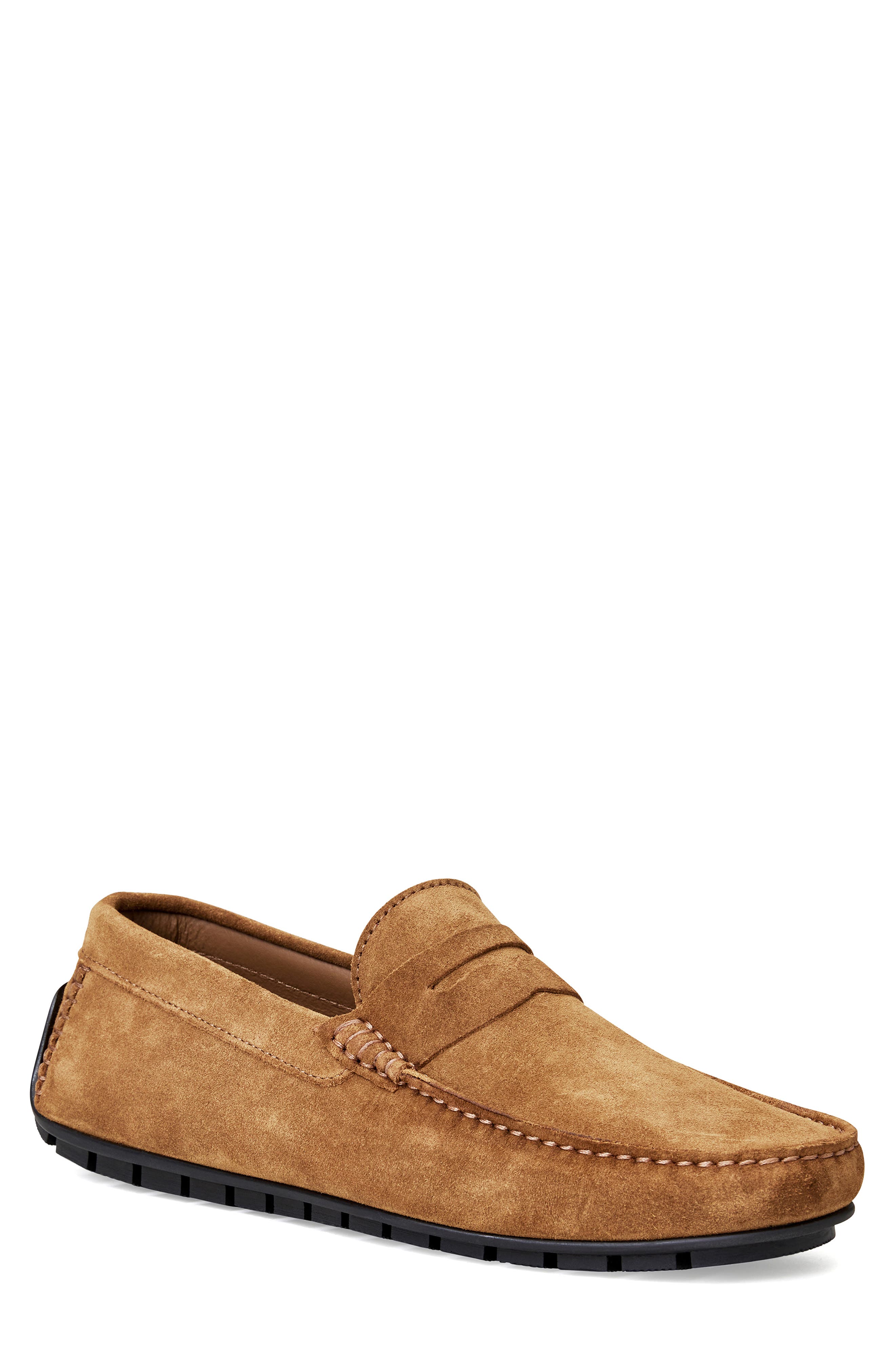 Bruno Magli Xane Driving Penny Loafer, Main, color, Cognac Suede