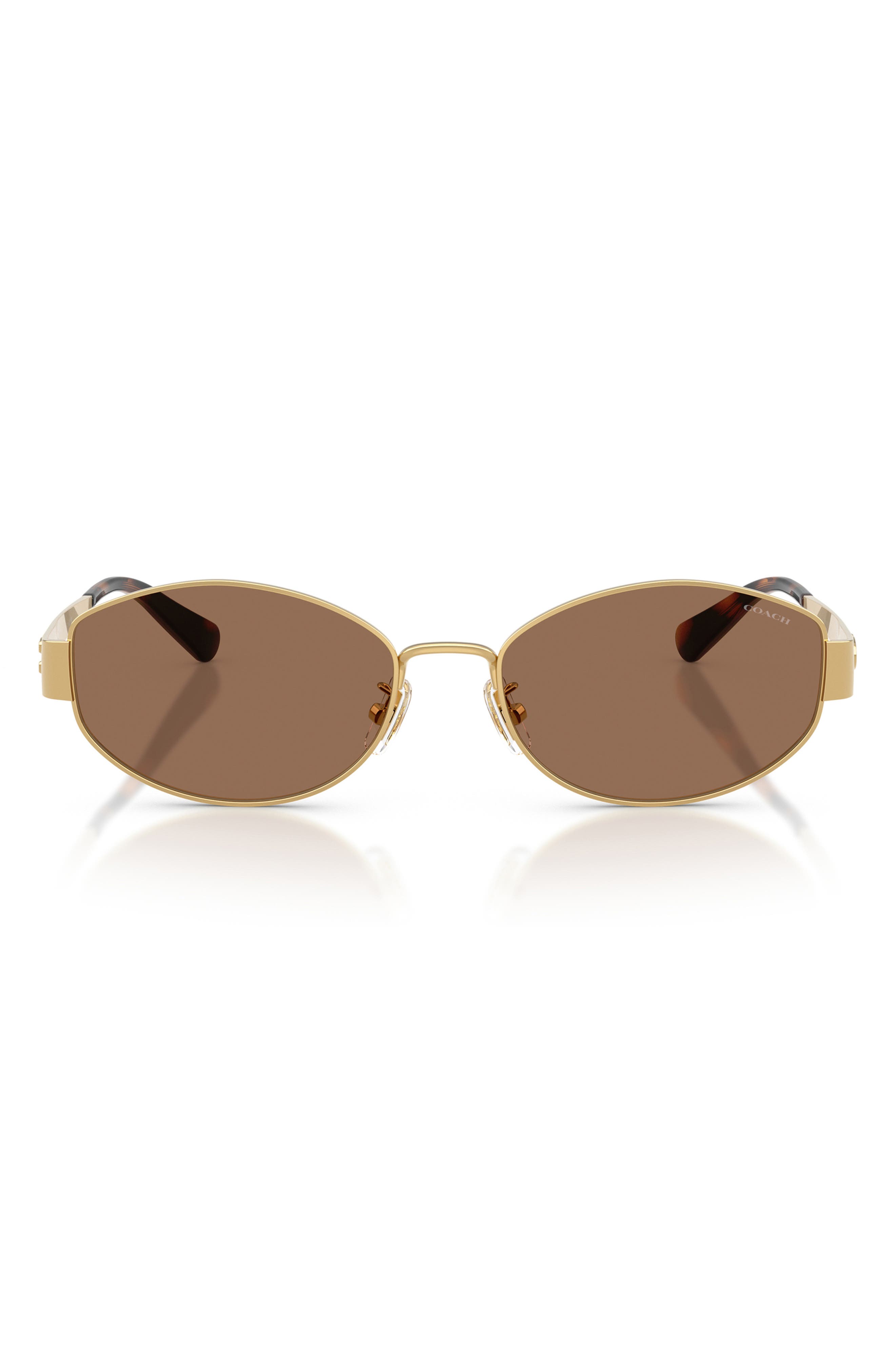 SHINY GOLD / DARK BROWN SOLID