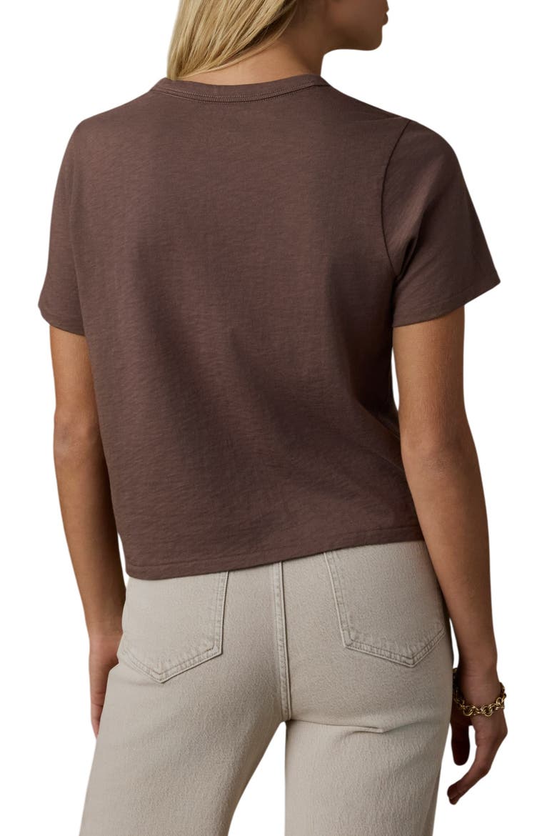 Sunwashed Essential Cotton T-Shirt, Alternate, color, ALPINE BROWN