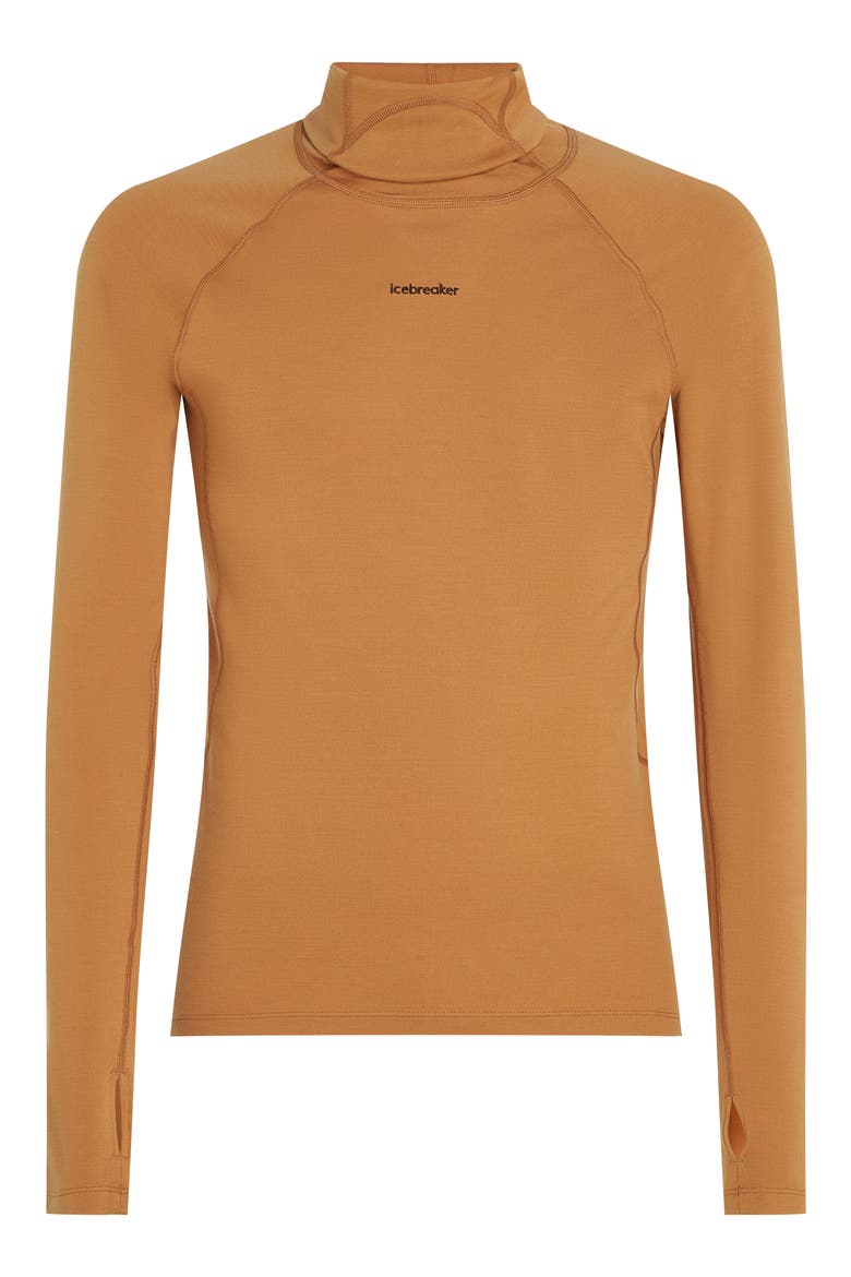 300 Polar MerinoFine Turtleneck Top, Alternate, color, TRAIL