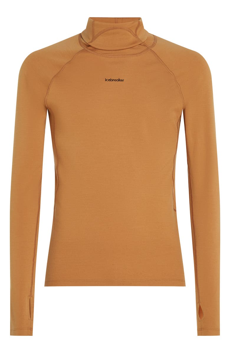 Icebreaker 300 Polar MerinoFine Turtleneck Top, Alternate, color, Trail