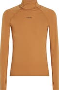 Icebreaker 300 Polar MerinoFine Turtleneck Top