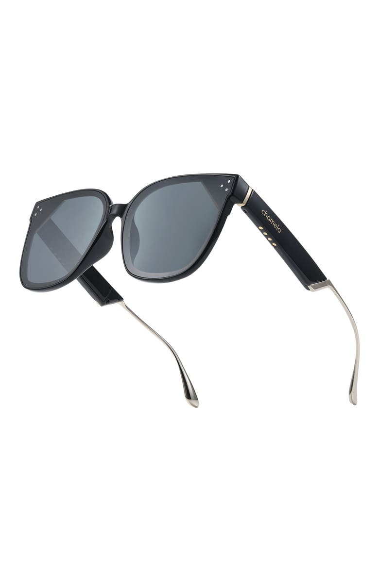 Chamelo Veil Slider Alpha Sunglasses, Alternate, color, Smoke