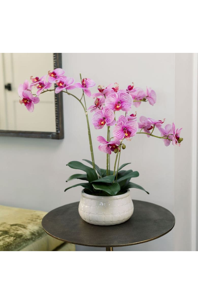 CG Hunter 23" Phale Orchid, Alternate, color, Purple