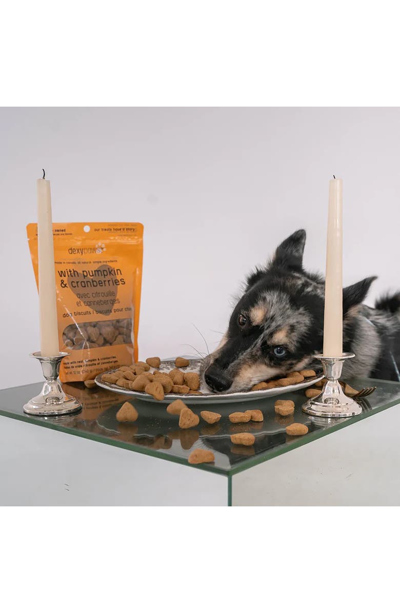 Dexypaws Pumpkin 
Cranberry Dog Biscuits 12oz Natural Pet Treats, Alternate, color, Brown