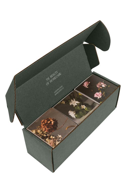 Homecourt Candle Discovery Set $75 Value In Brown