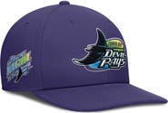 Nike Men's Nike Purple Tampa Bay Rays Pro Performance Snapback Hat