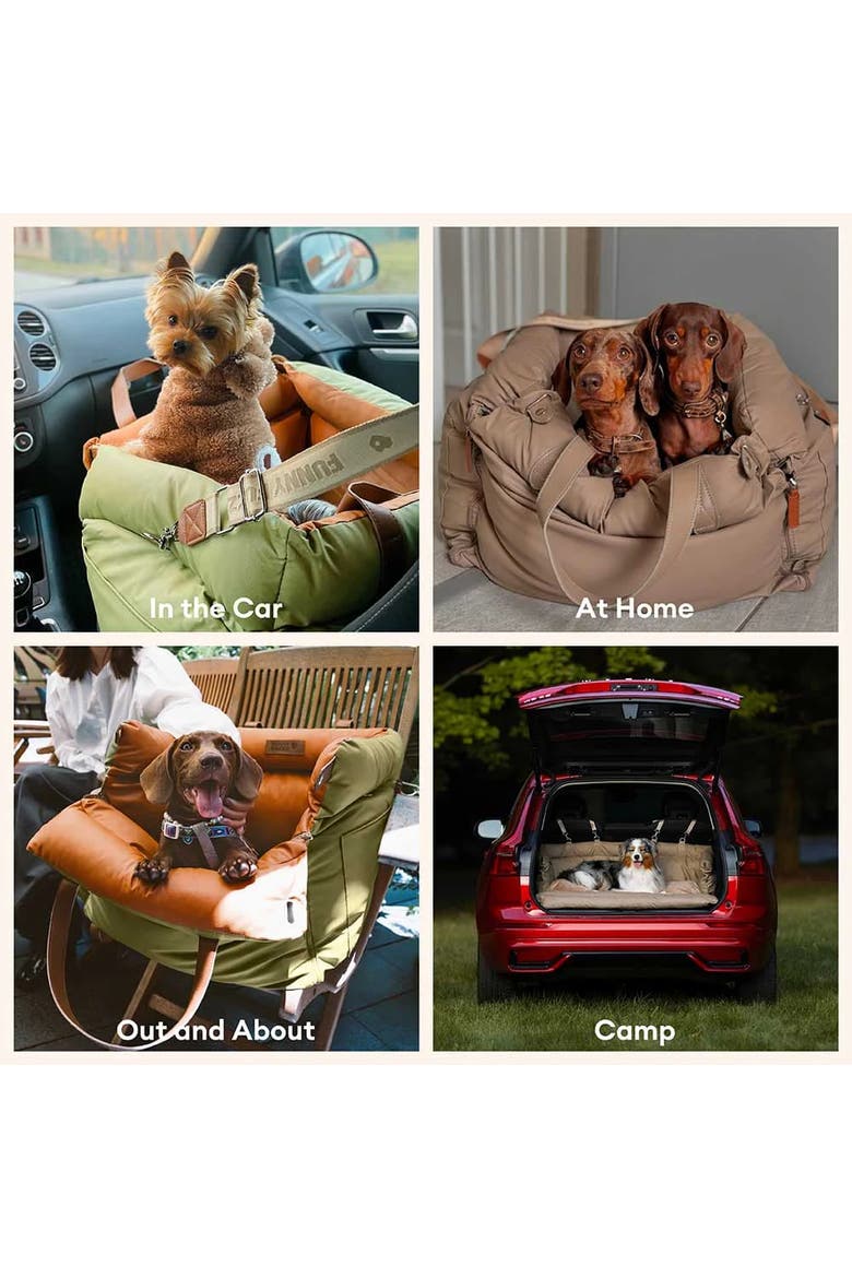 Voyager Dog Car Booster Bed, Alternate, color, Orange Green