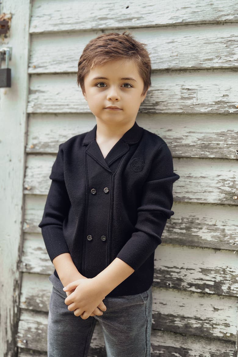 Double Breasted Knit Blazer, Alternate, color, Black
