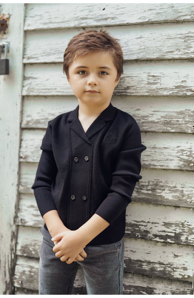Mr. Mr. Double Breasted Knit Blazer, Alternate, color, Black