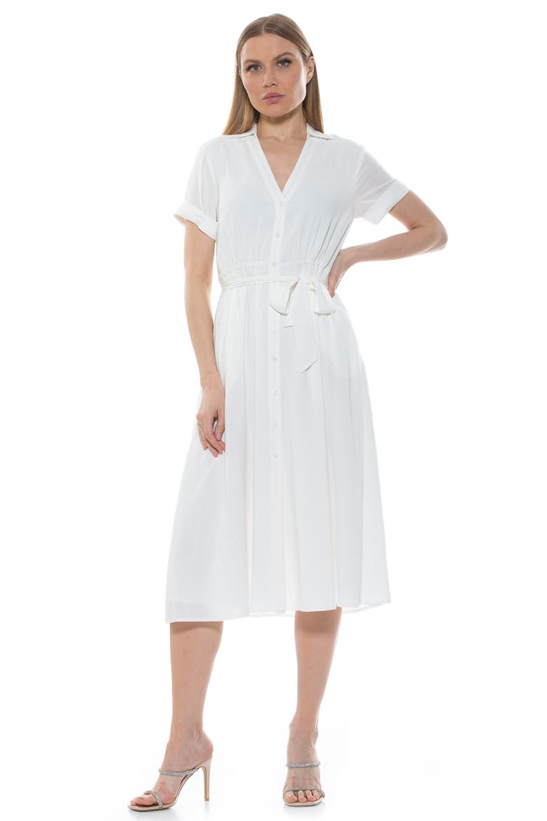 Liv Collared Shirtdress, Alternate, color, IVORY