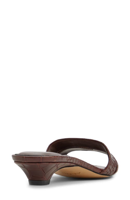 Aldo Scarletta Slide Sandal In Brown