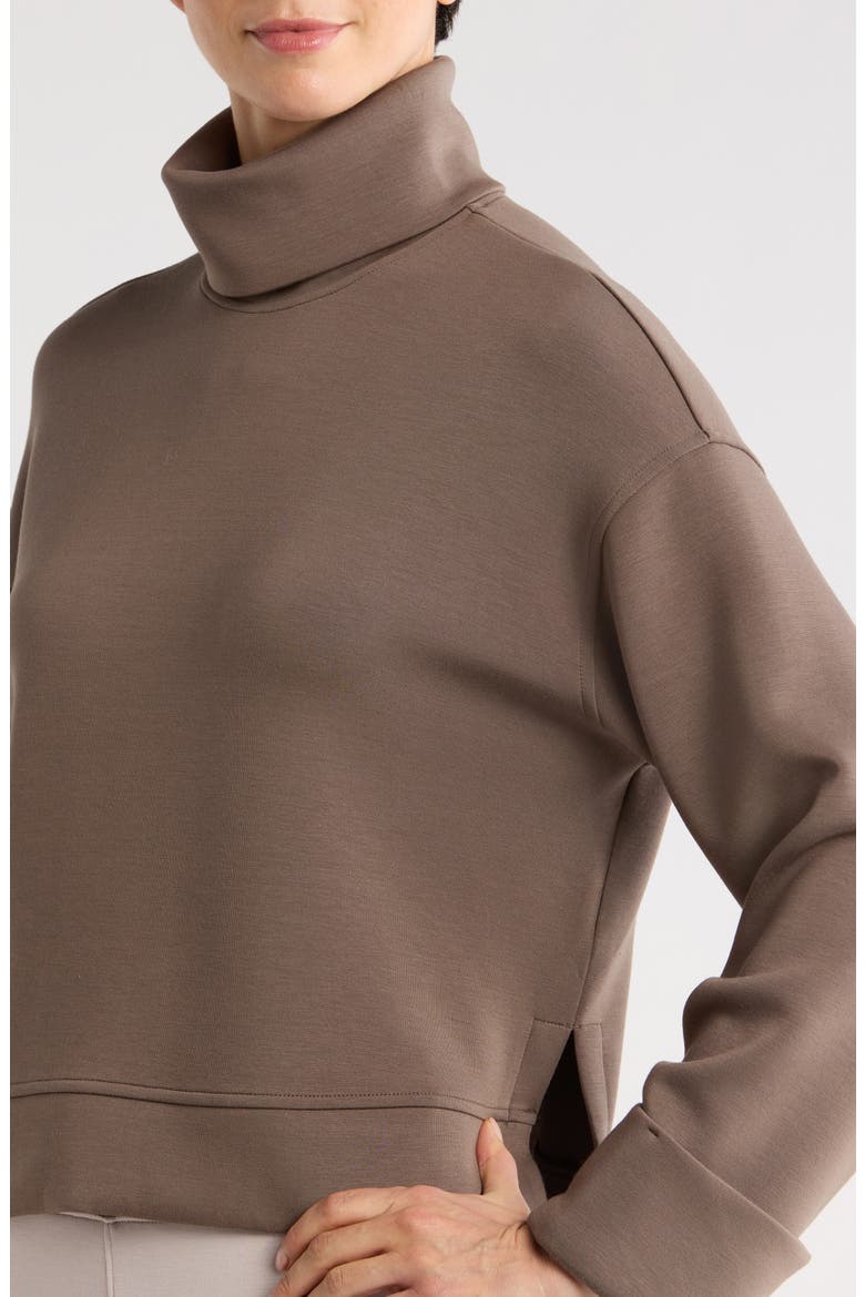 Cuffed Sleeve Crop Turtleneck Sweatshirt, Alternate, color, MINERAL