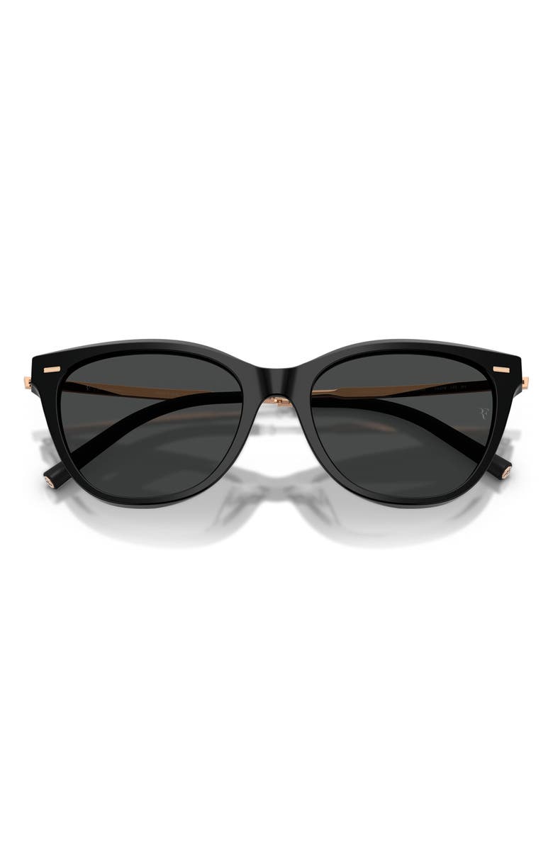 Oliver Peoples x Roger Federer Mr. Federer 55mm Cat Eye Sunglasses, Alternate, color, Black / Dark Slate