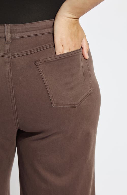 Lyssé Lysse Iris Flat Front Wide Leg Jeans In Brown