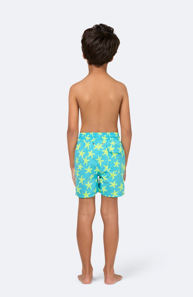 Tom & Teddy Kids' Starfish Print Swim Trunks, Alternate, color, 