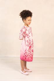 Raishma Kids Misha Dress