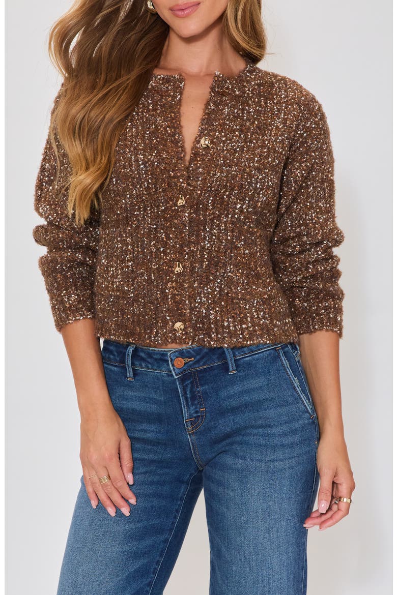 Toasty Cardigan, Main, color, BROWN