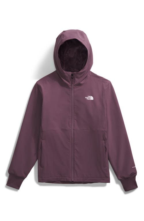 The North Face Shelbe Raschel Water Resistant Hooded Jacket In Purple