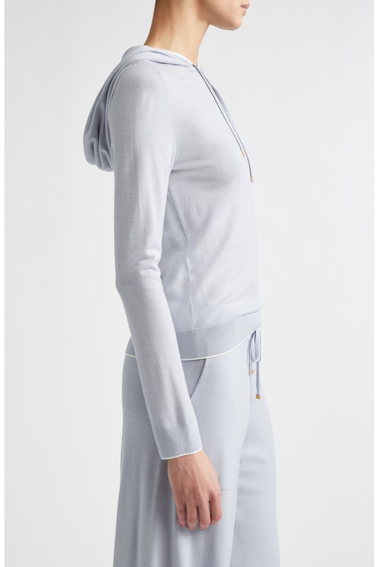 Avalon Travel Merino Wool Hoodie, Alternate, color, 130-01 SKY BLUE/WHITE
