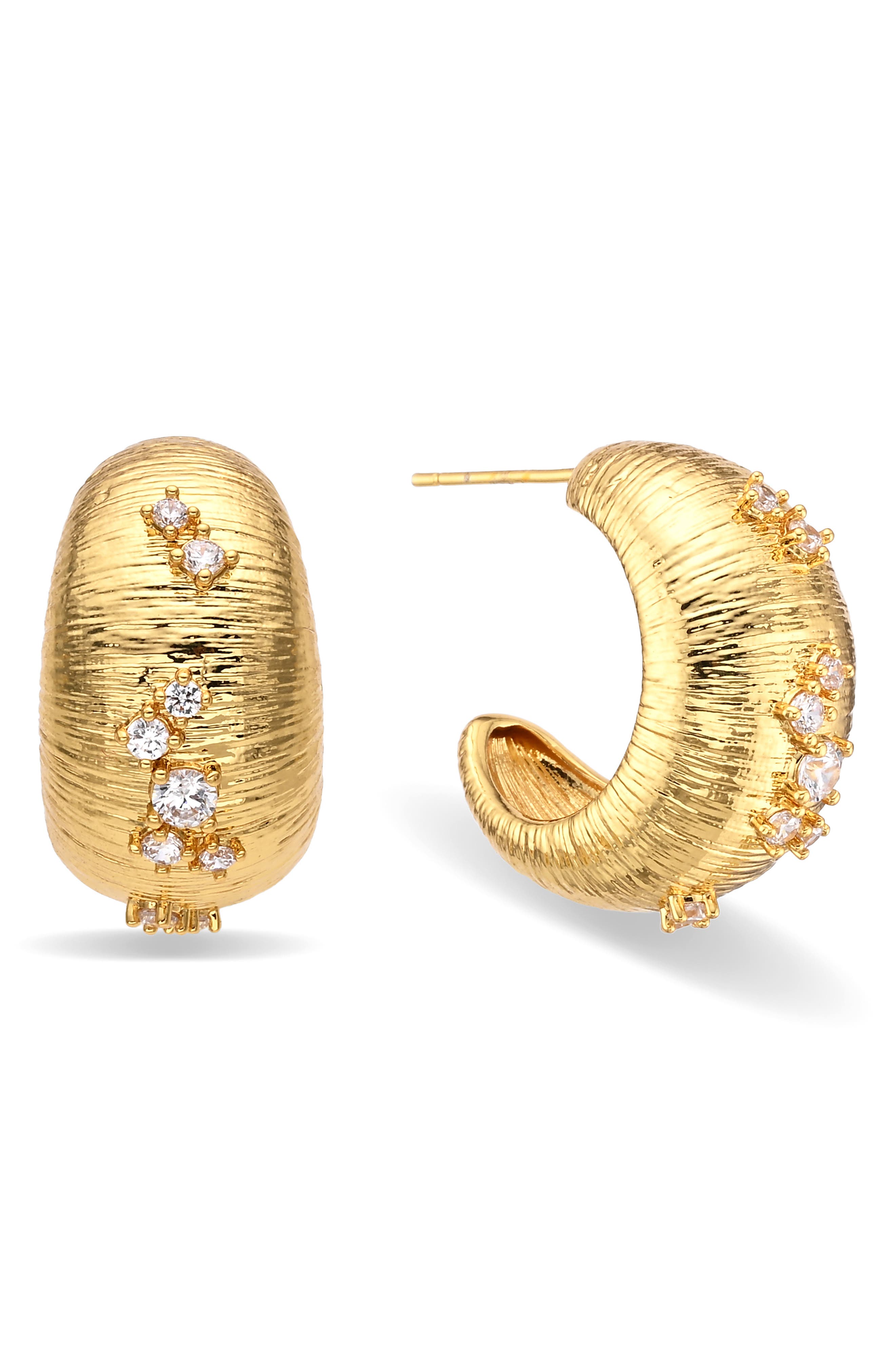 Blair Cubic Zirconia Hoop Earrings