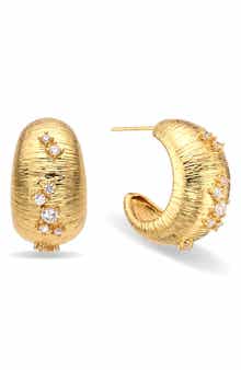 Blair Cubic Zirconia Hoop Earrings