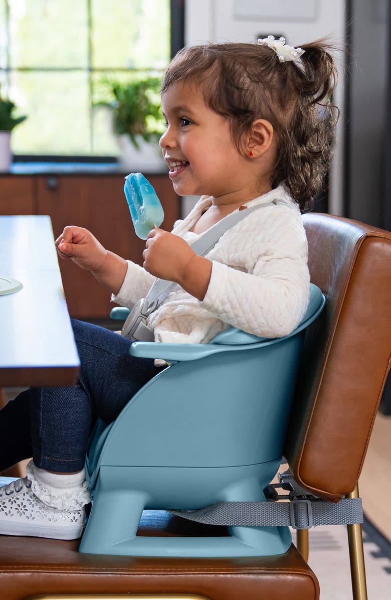 EVRLOOP 3-in-1 High Chair, Alternate, color, Nantucket Blue